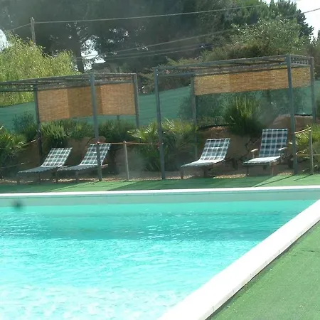 Trigona - * Piazza Armerina