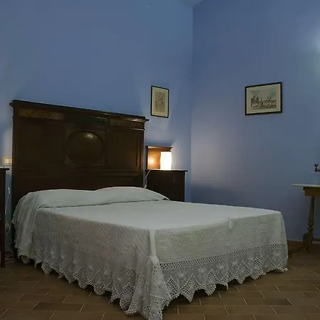 Trigona -